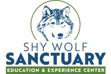 Logo for Shy Wolf Sanctuary Education & Experience Center Logo for Shy Wolf Sanctuary Education & Experience Center