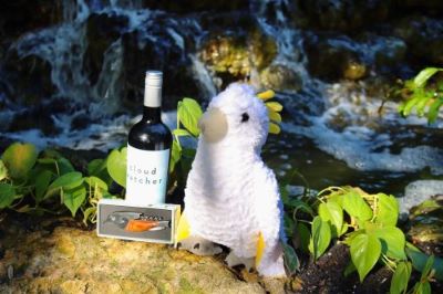 Wine and Wonder Uncorked