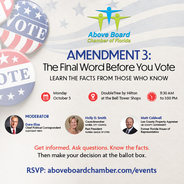 AMENDMENT 3: The Final Word Before You Vote